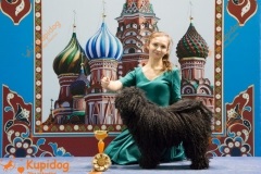 Puli_0106