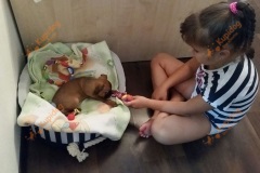 BRAB_0523