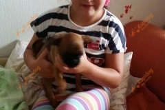 BRAB_0526