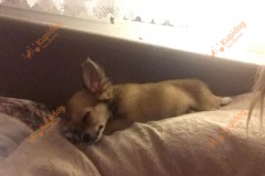 IMG-20160117-WA0003