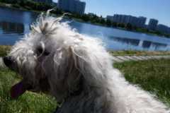 img-20190619-wa0012