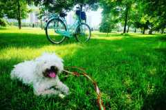 img-20190619-wa0015